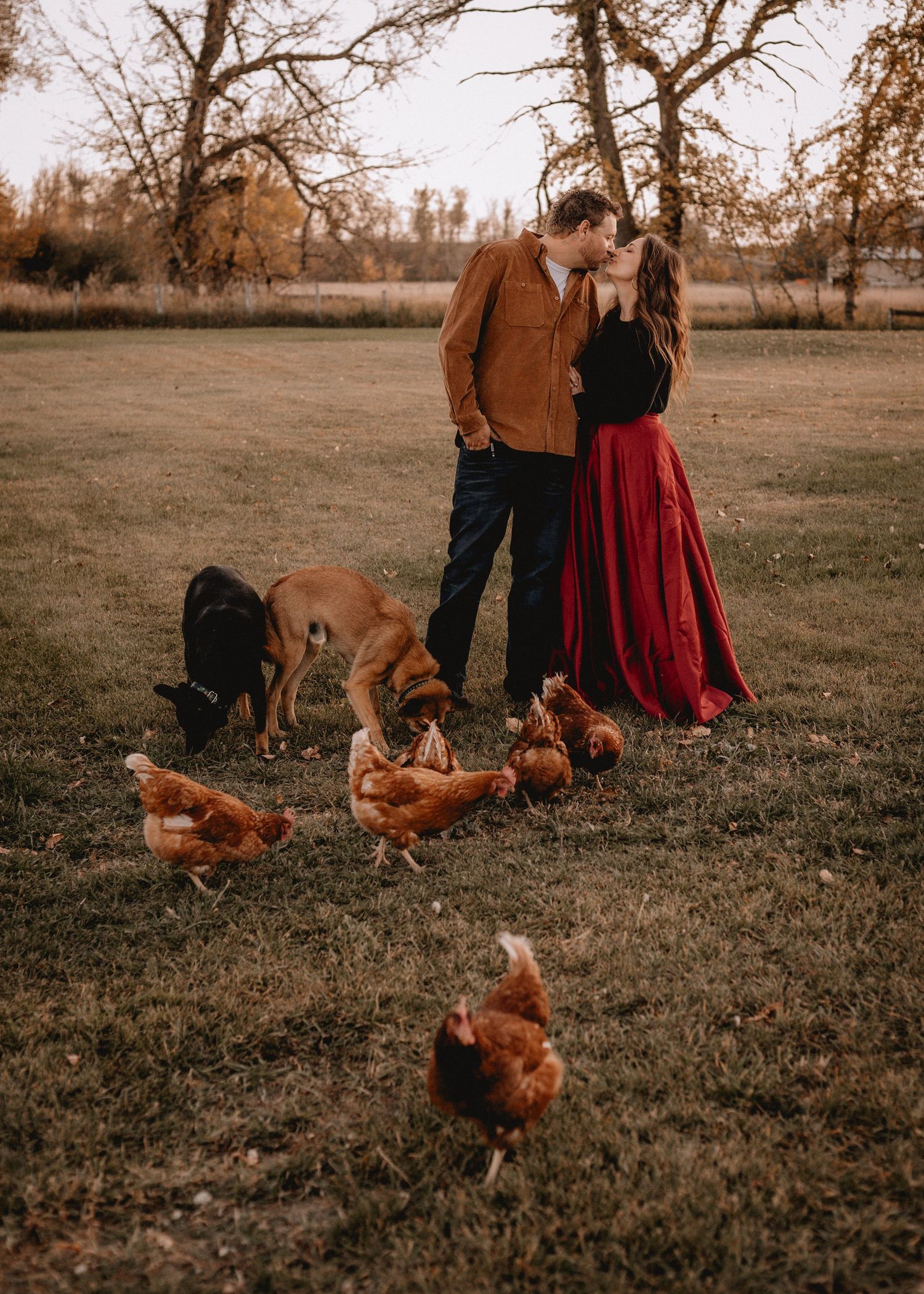 Free-range High River, AB chickens forage in grass near a couple by a wooden fence during golden hour.