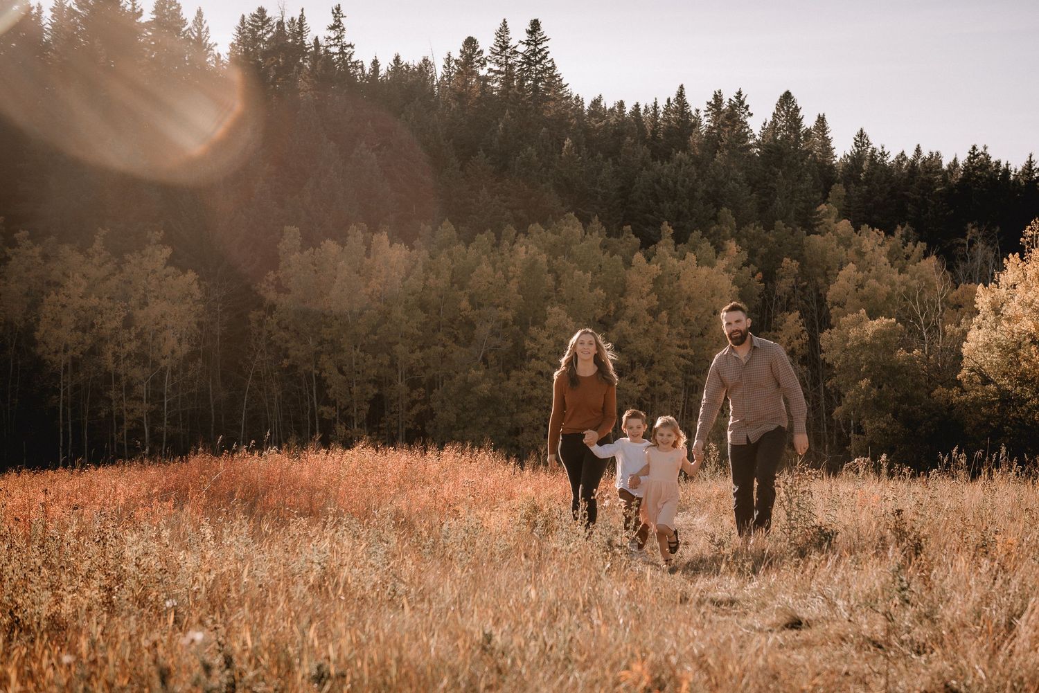 A Calgary family of four walk through a golden autumn field at sunset with evergreen trees in the background.