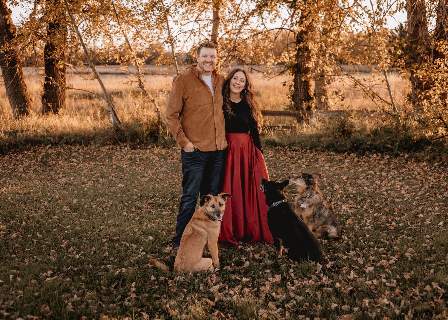 A couple stands with their dogs through a fall Alberta landscape with golden leaves.