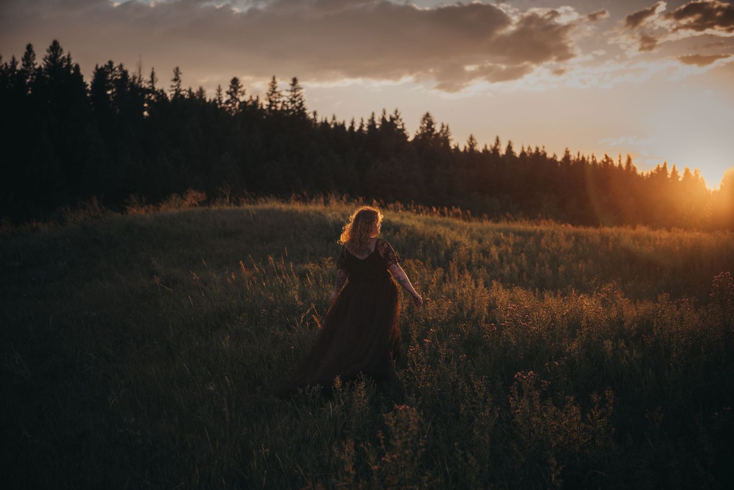 Woman in dark dress walking through golden Calgary, AB meadow at sunset with forest silhouette in background.