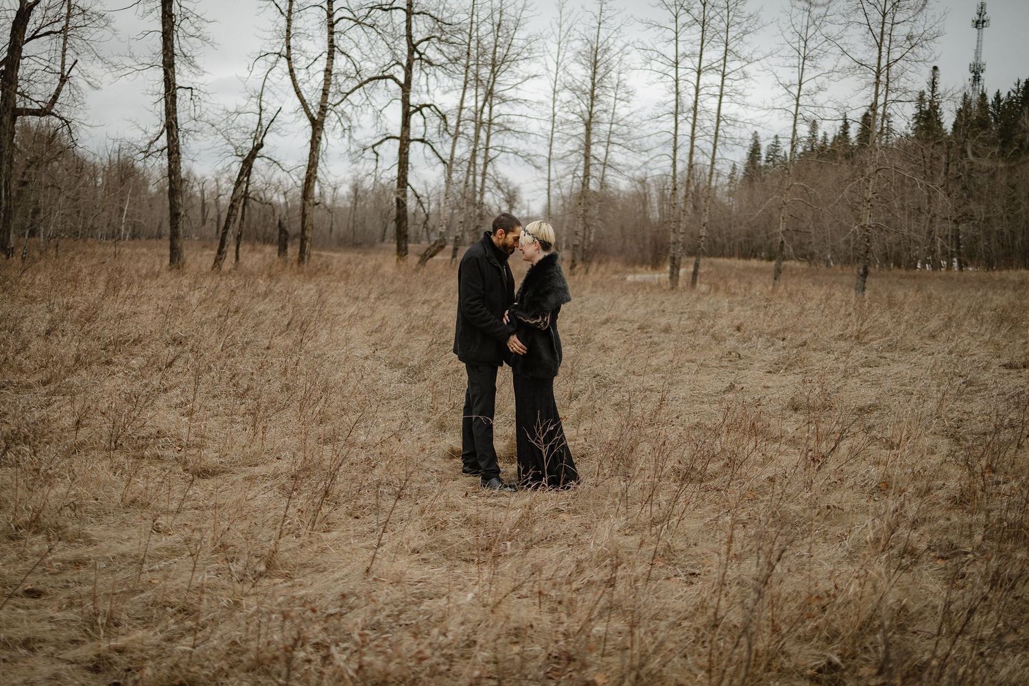 Couple dressed in black sharing a kiss in a golden field surrounded by bare trees during an outdoor engagement session.