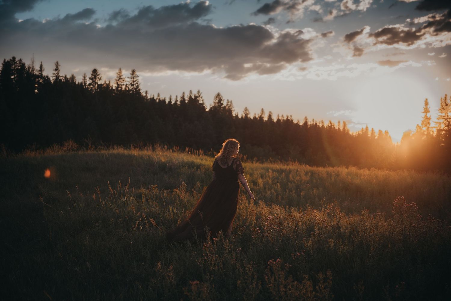 A lone figure stands in a golden meadow at sunset, surrounded by tall grass and a forest silhouette under a dramatic sky.