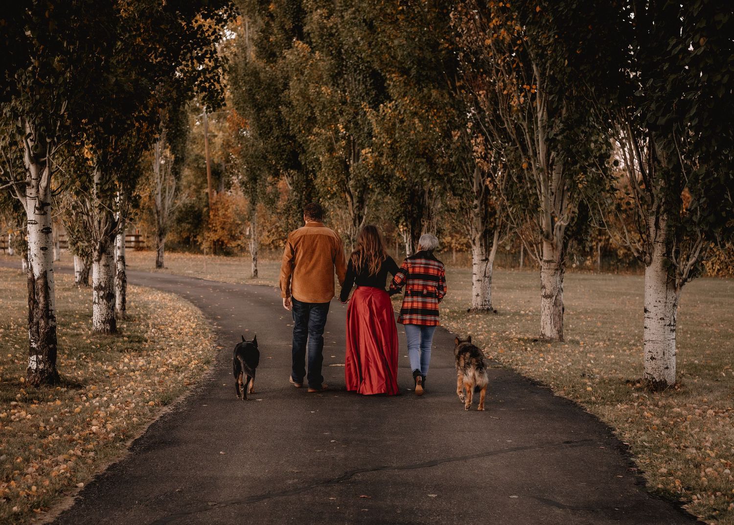 Three people walking two dogs down a tree-lined driveway, viewed from behind, surrounded by colorful fall foliage.
