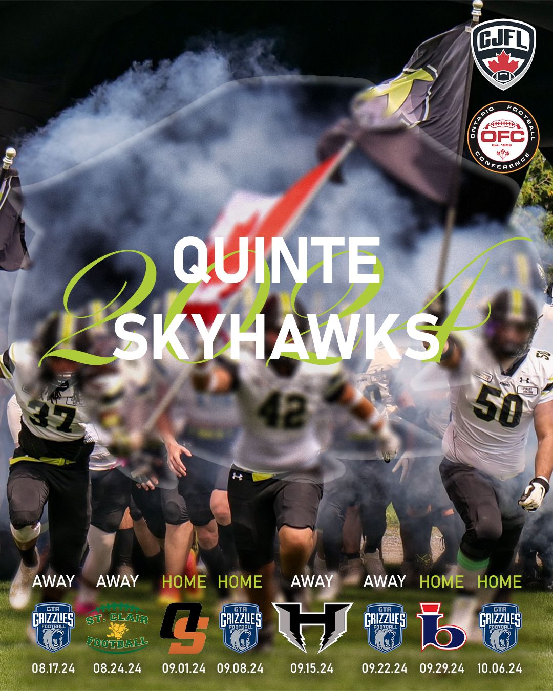Football players and fans celebrate on the field during a game with smoke and team banners in the background.