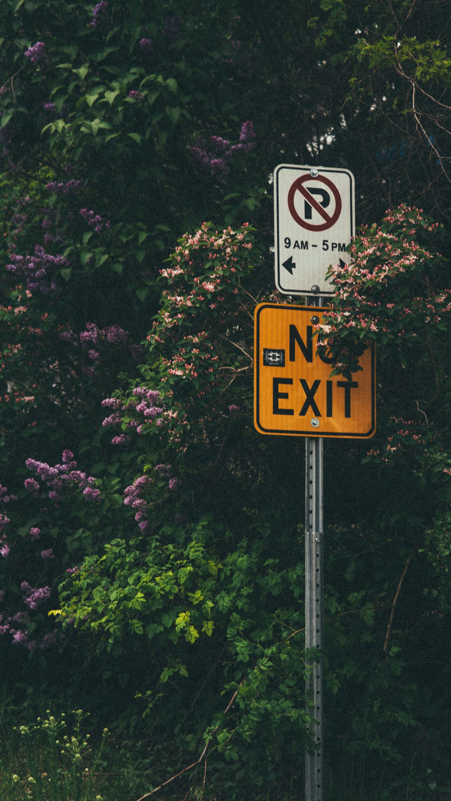 No Exit sign with No Parking 9AM-5PM sign on a pole surrounded by lush green trees and purple flowering bushes.