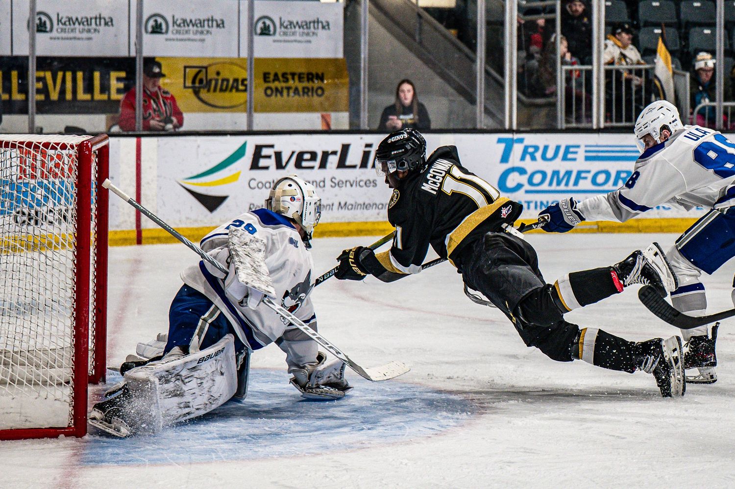 Hockey player dives through the air towards goal while goalie in blue and white uniform defends the net during game action.