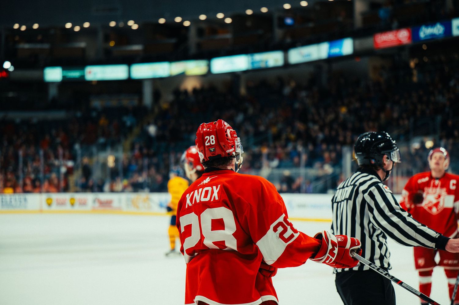 Hockey players in red and white jerseys compete for the puck during an intense NHL game.