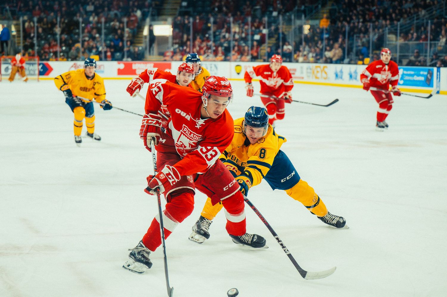 Ice hockey players in red and yellow jerseys battle for puck control during competitive match on rink.