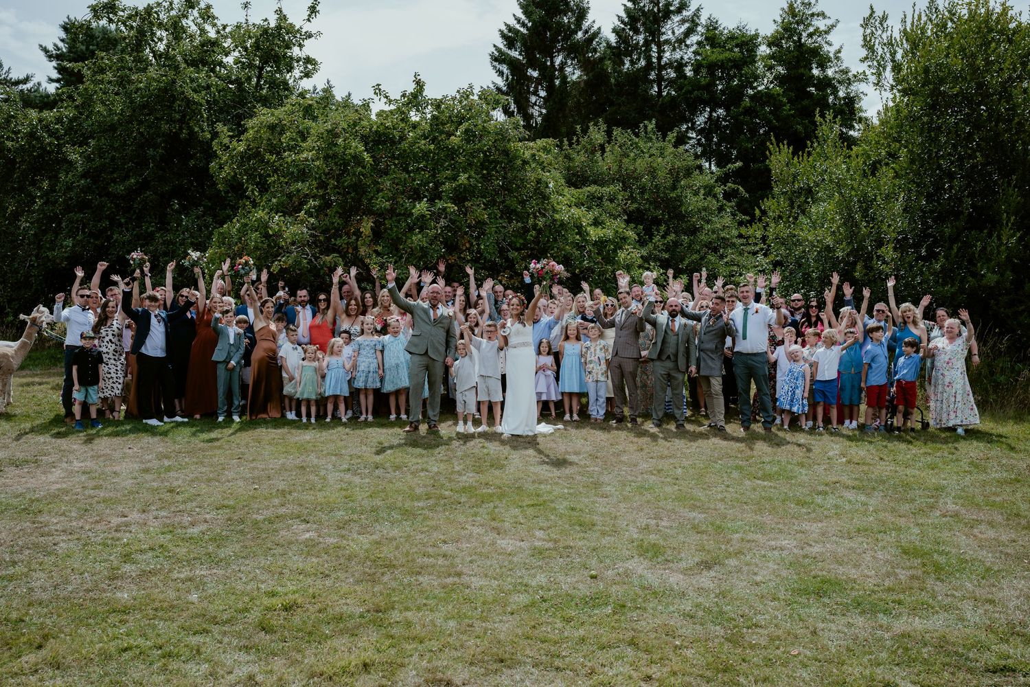Large wedding group photo taken on a grassy hillside with trees in the background.