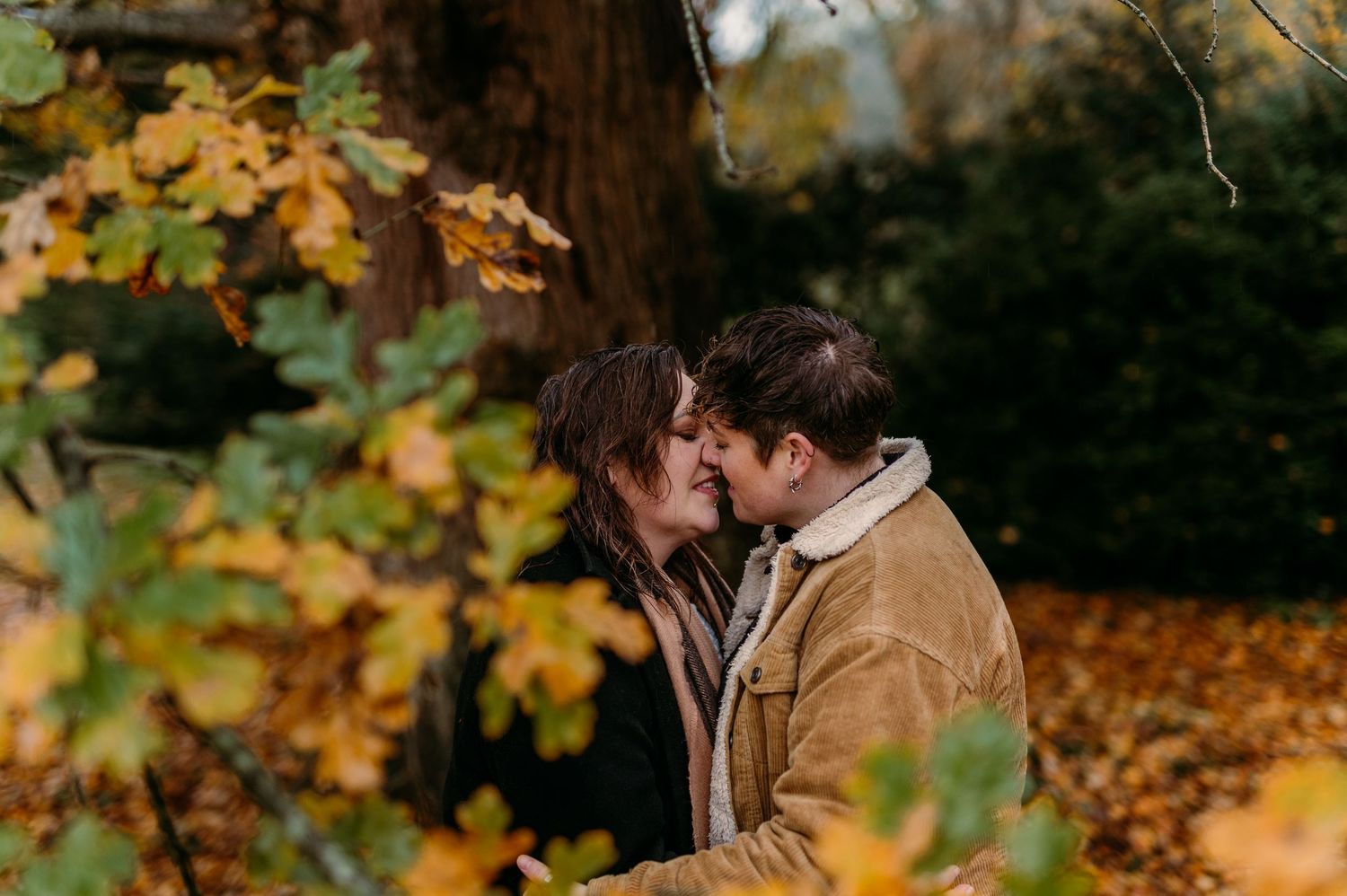 Romantic autumn scene with golden leaves falling in the forest.