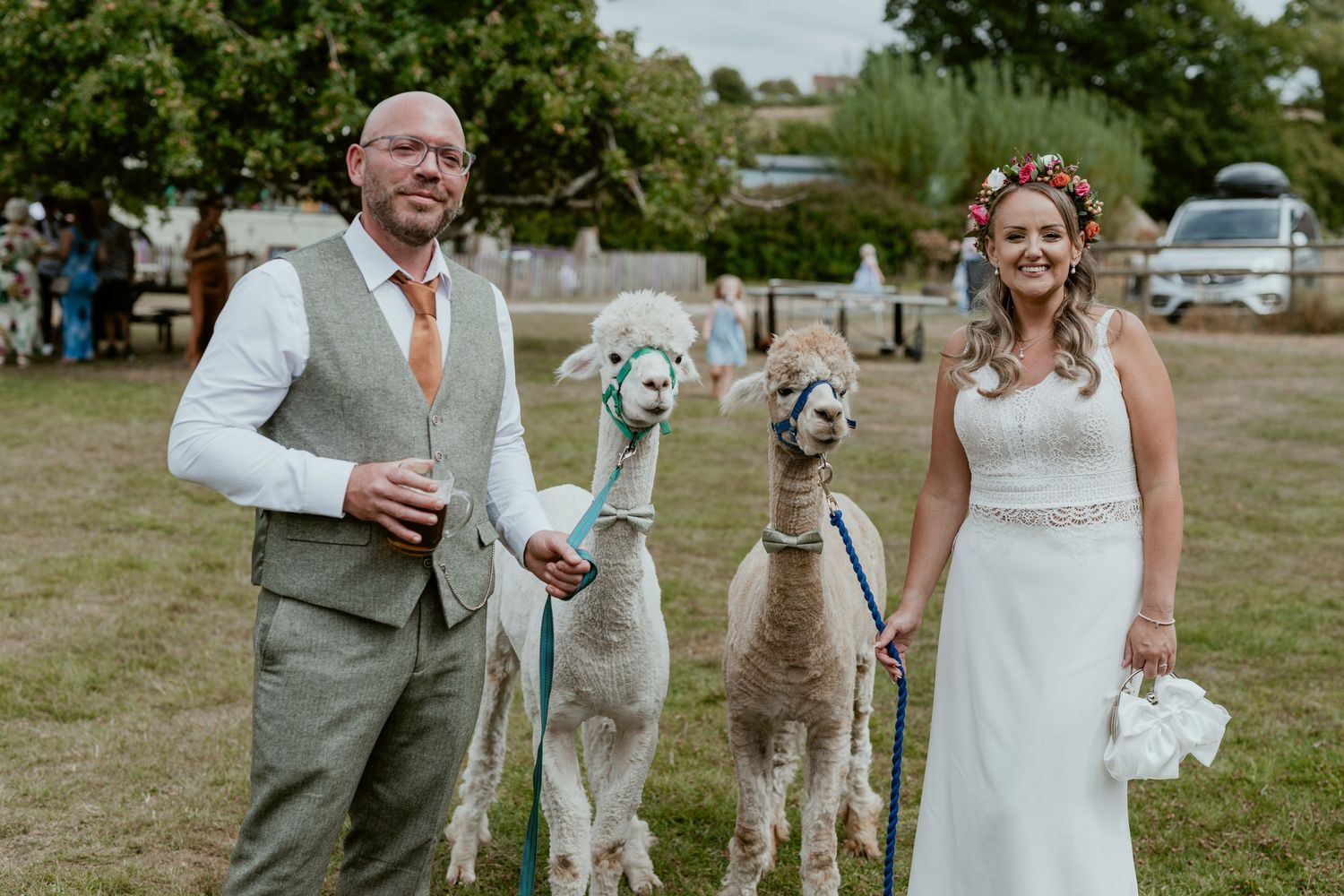Wedding party laughs while posing with alpacas in an outdoor setting.