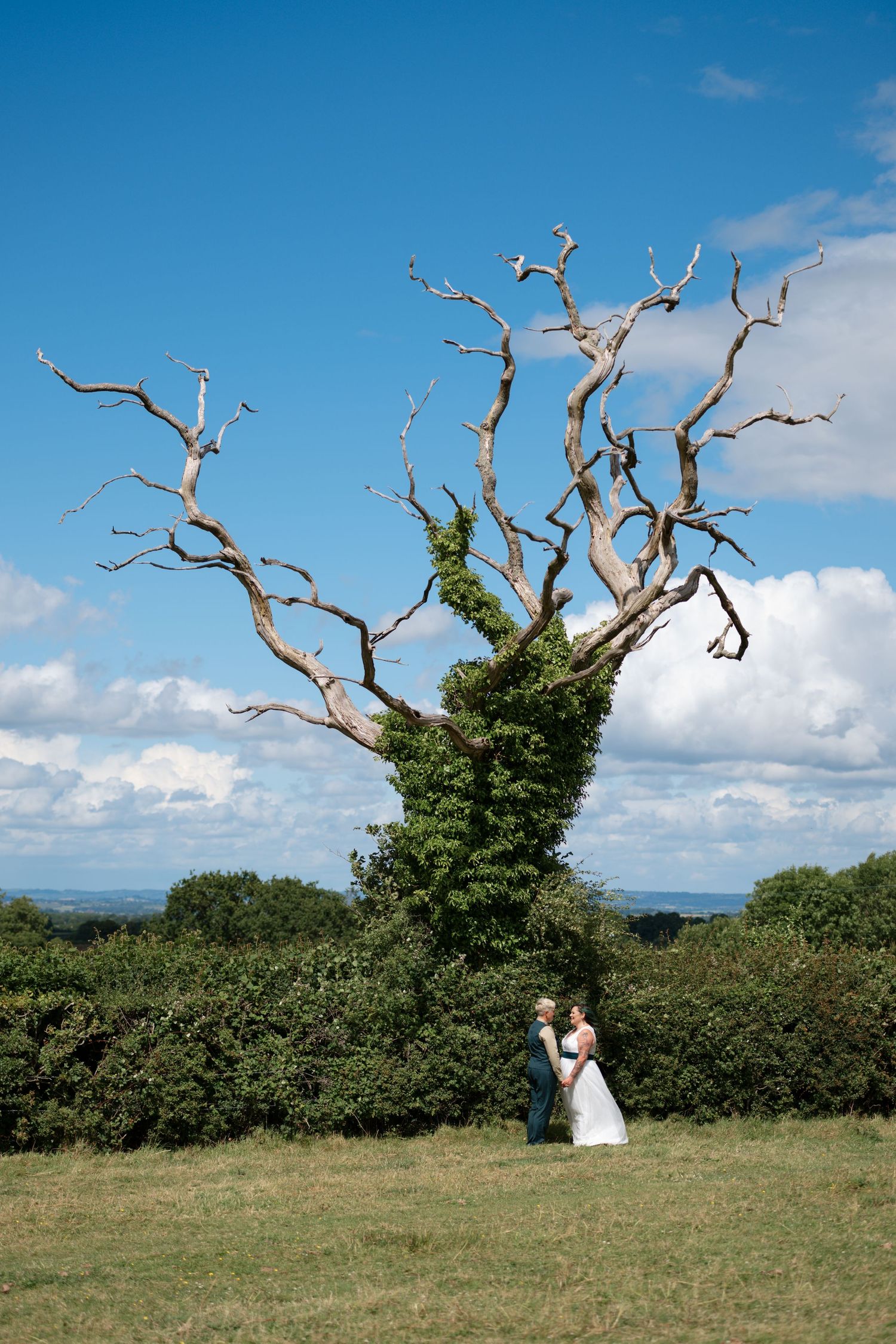 Wedding couple posing near a dramatic dead tree in a scenic hilltop meadow.