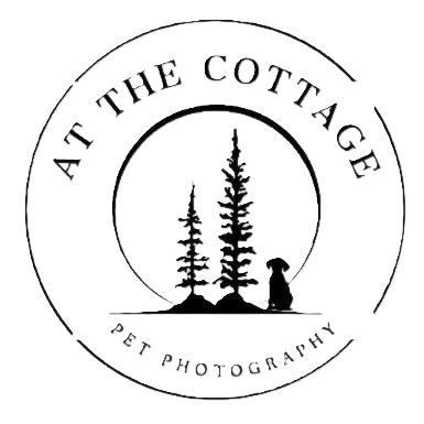 Pine trees with a dog within a circle is the logo for At The Cottage Photography
