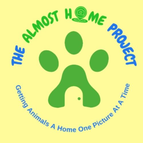 Green paw print with a door representing home is a logo design for Almost Home Project on yellow background.