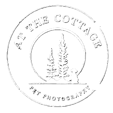 Pine trees with a dog within a circle is the logo for At The Cottage Photography