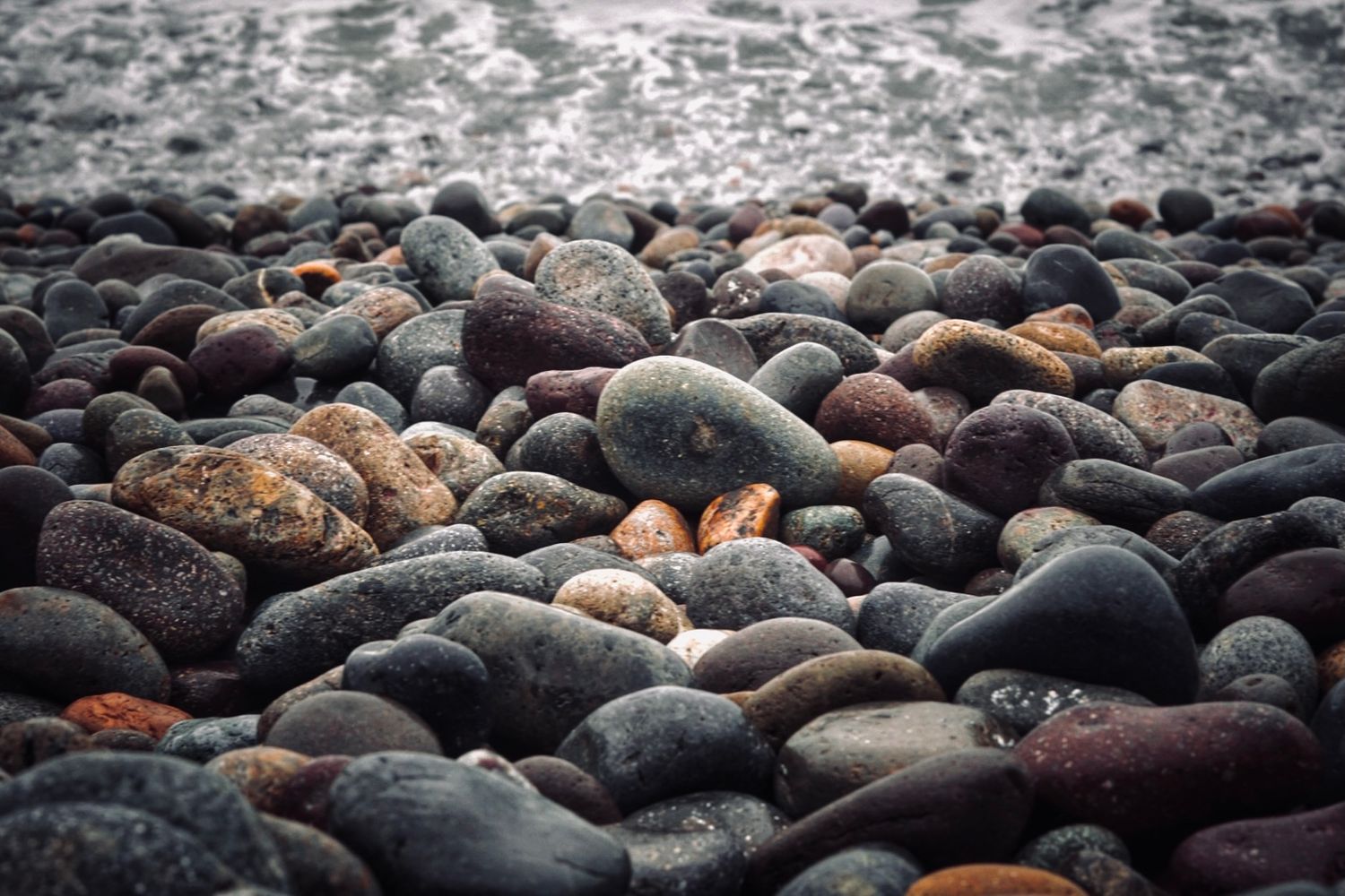 Close-up view of smooth, wet river rocks in various shades of gray, brown and black scattered along a shoreline.