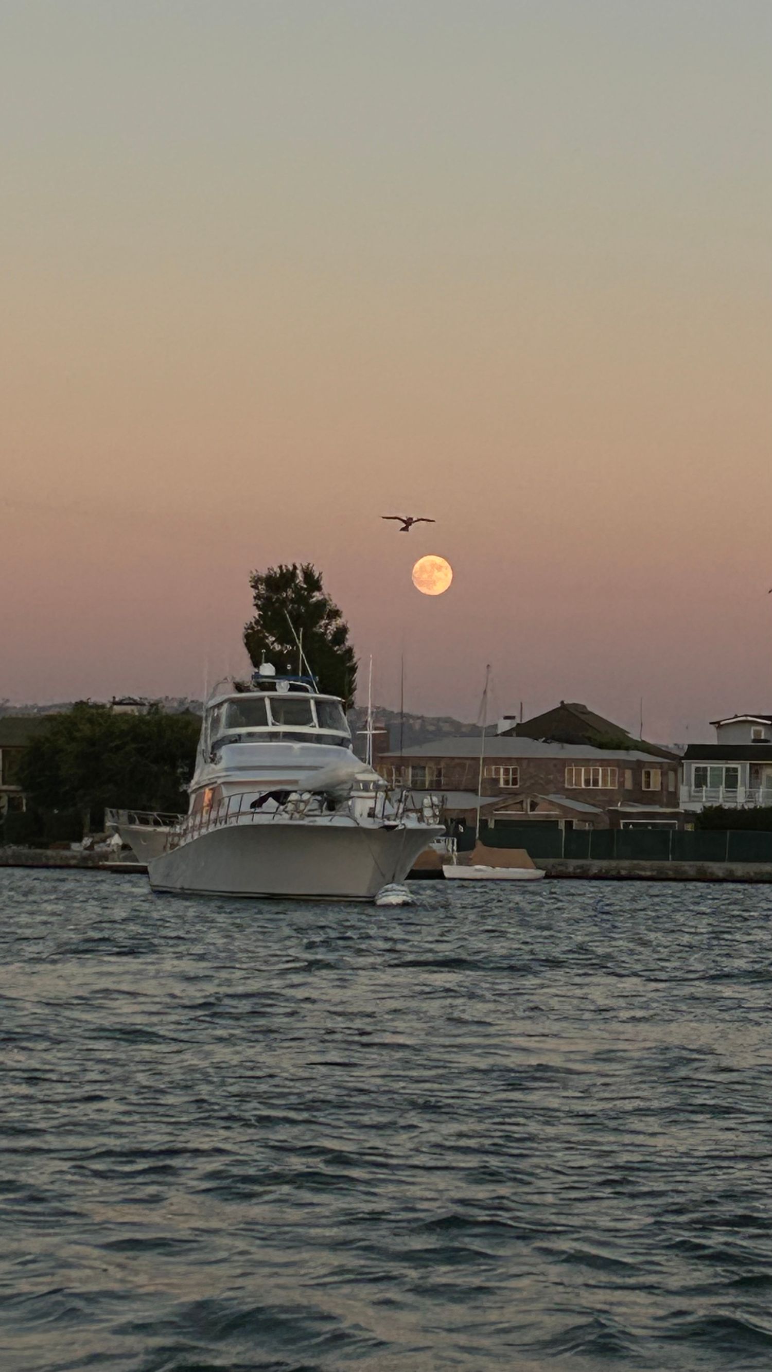 Full moon rises over marina with boats and waterfront buildings silhouetted at dusk.