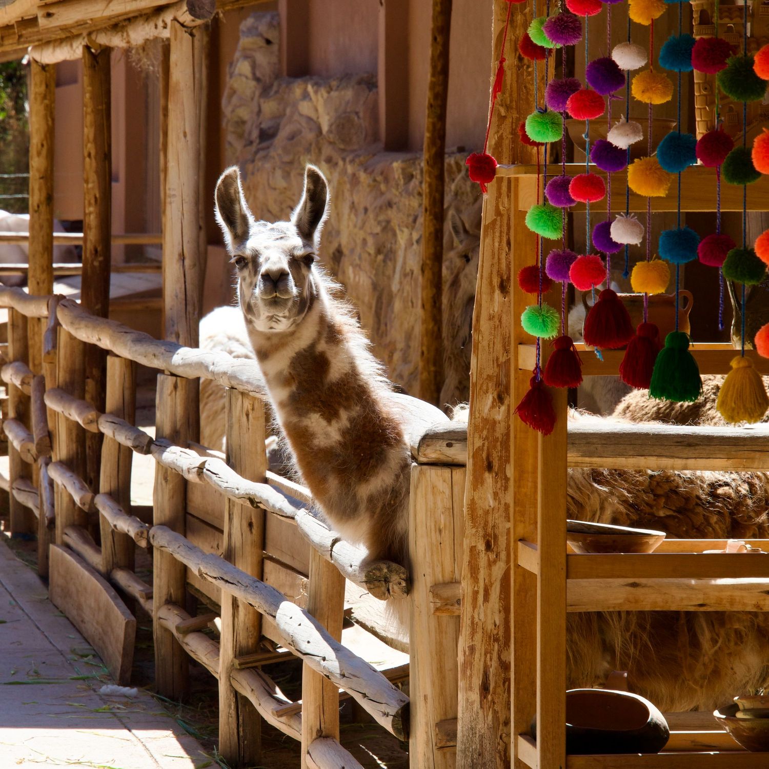 Colorful handmade felt ball garlands hang from rustic wooden beams creating a festive bohemian atmosphere.