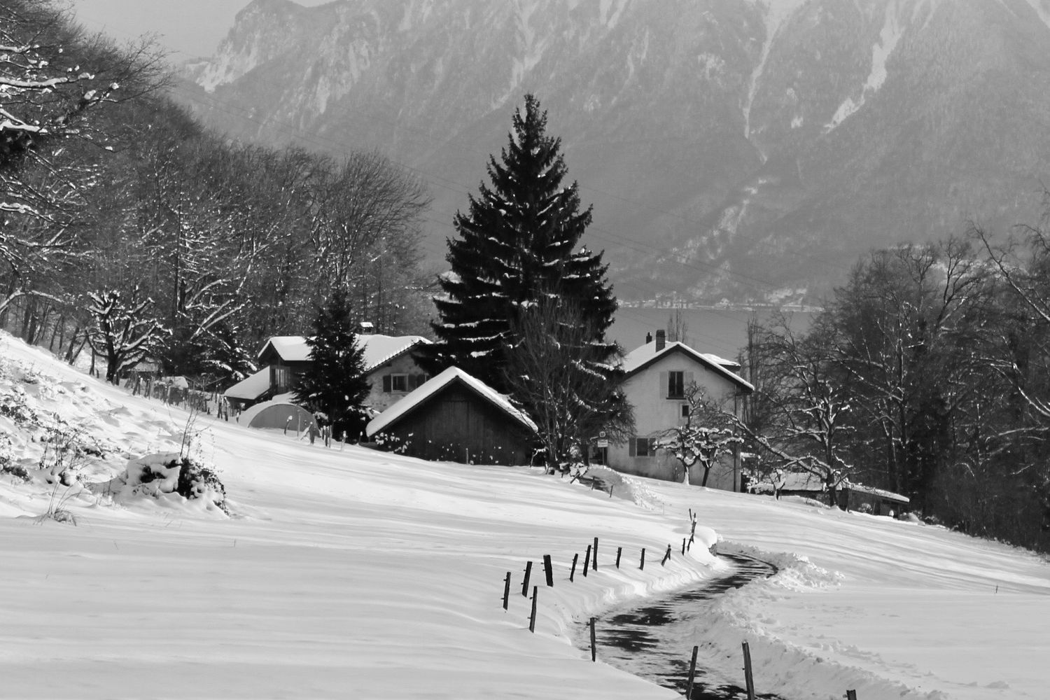 MAURICIO TERAN PHOTOGRAPHY / Casas de montaña rodeadas de nieve y pinos, paisaje alpino europeo tranquilo fotografía naturaleza fine art