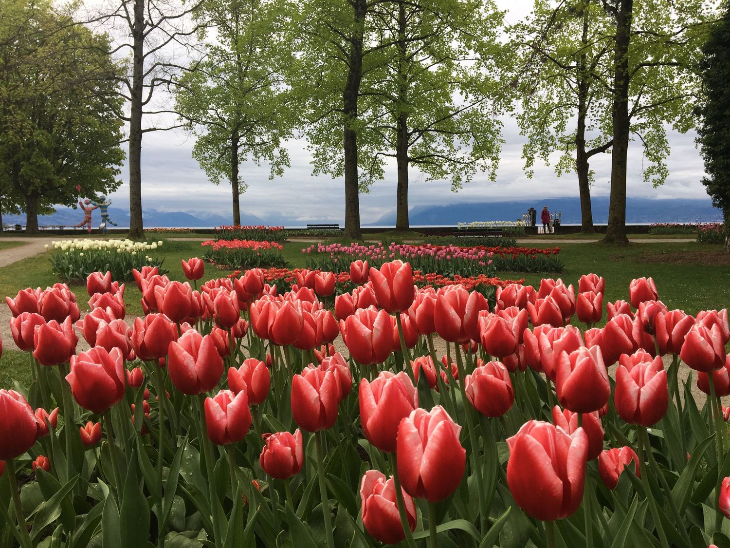 MAURICIO TERAN PHOTOGRAPHY / Flores primaverales junto a lago y árboles, paisaje floral colorido naturaleza fotografía fine art