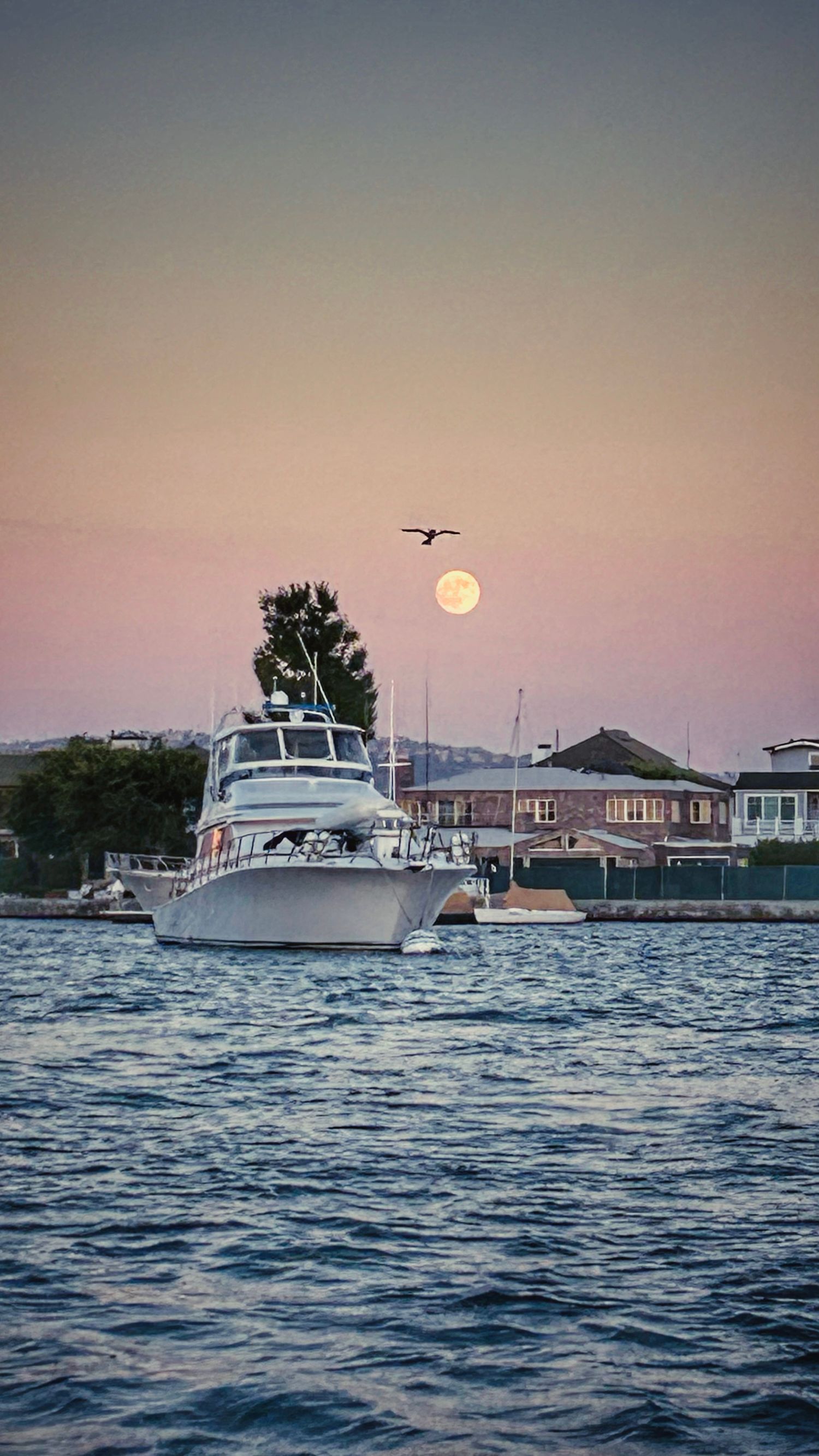 Boats anchored on calm waters at sunset with waterfront homes in the background.