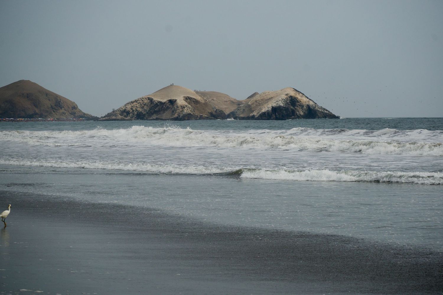 Waves crash on a dark sandy beach with rugged coastal mountains in the background.