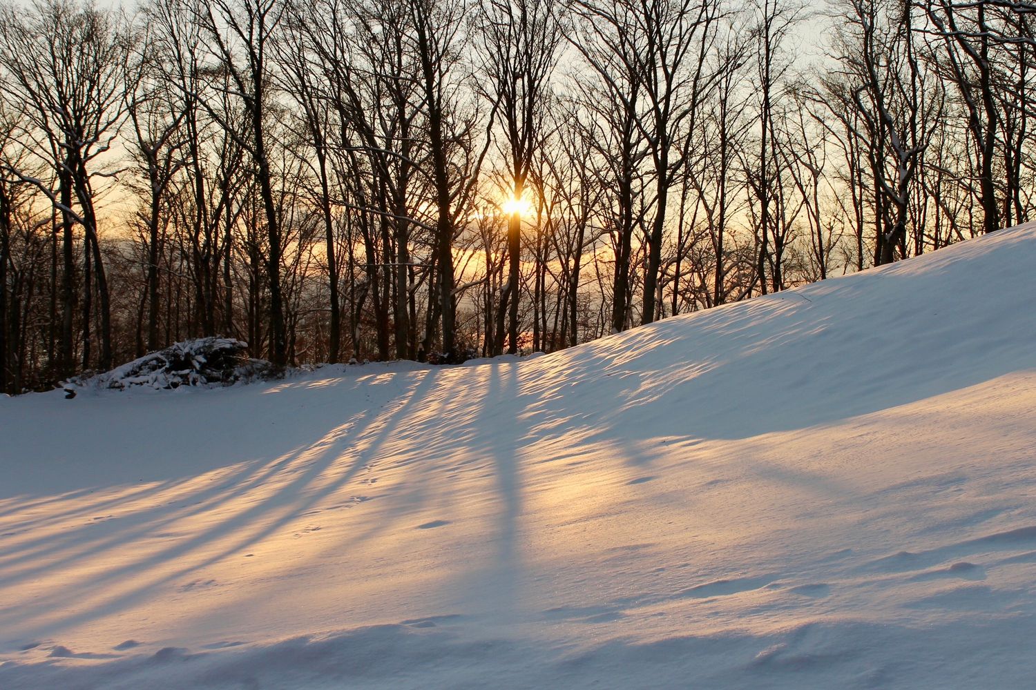 MAURICIO TERAN PHOTOGRAPHY / Paisaje invernal con nieve dorada al atardecer y bosque sin hojas, fotografía naturaleza contemplativa fine art