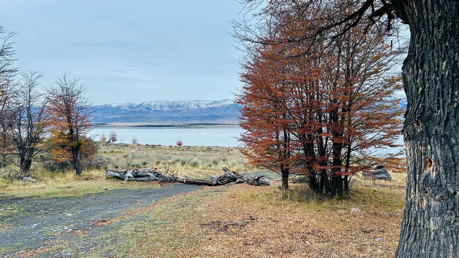 Panoramic autumn landscape with bare trees and distant mountains under blue skies.