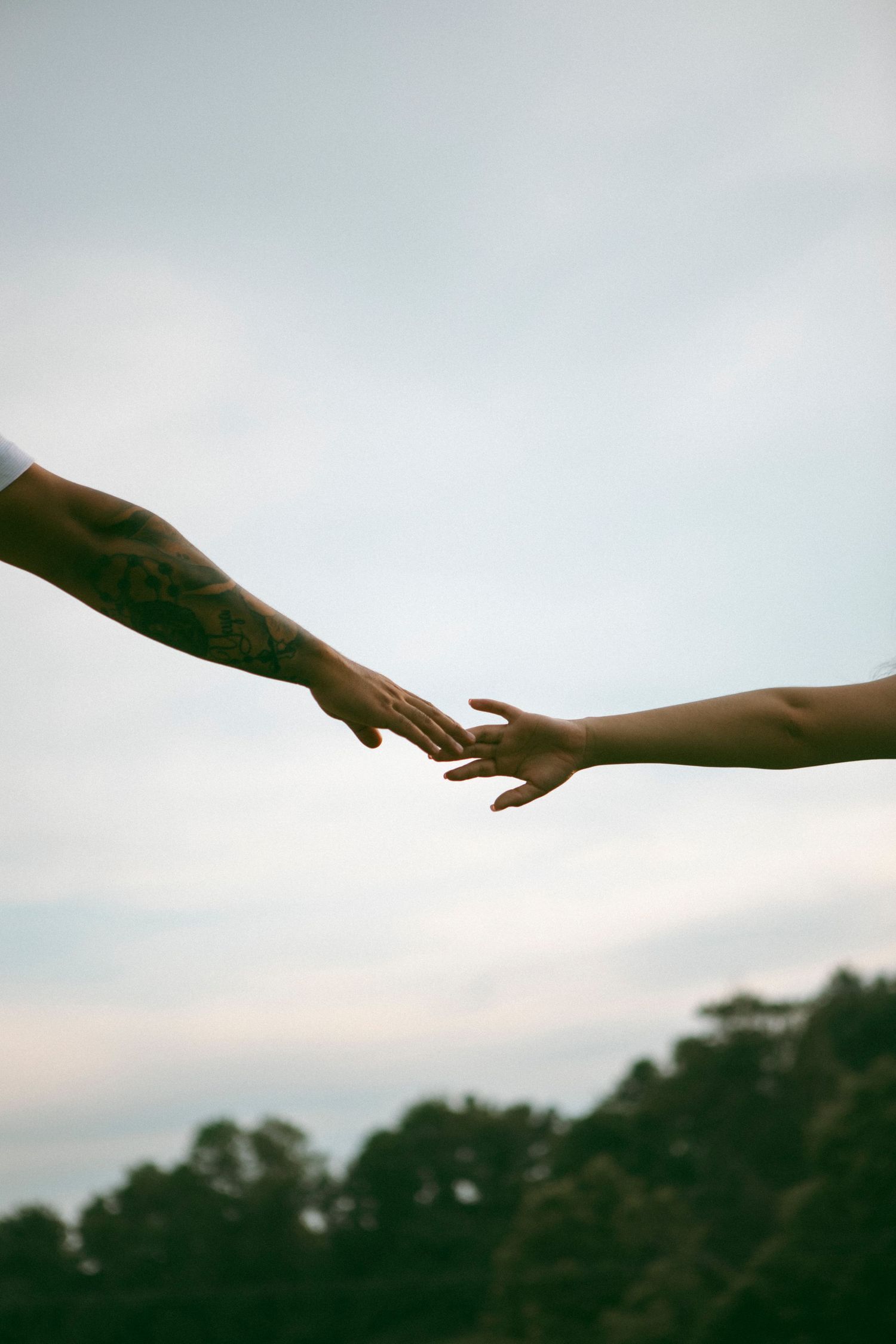 Two hands reaching towards each other against a cloudy sky with trees silhouetted in the background.