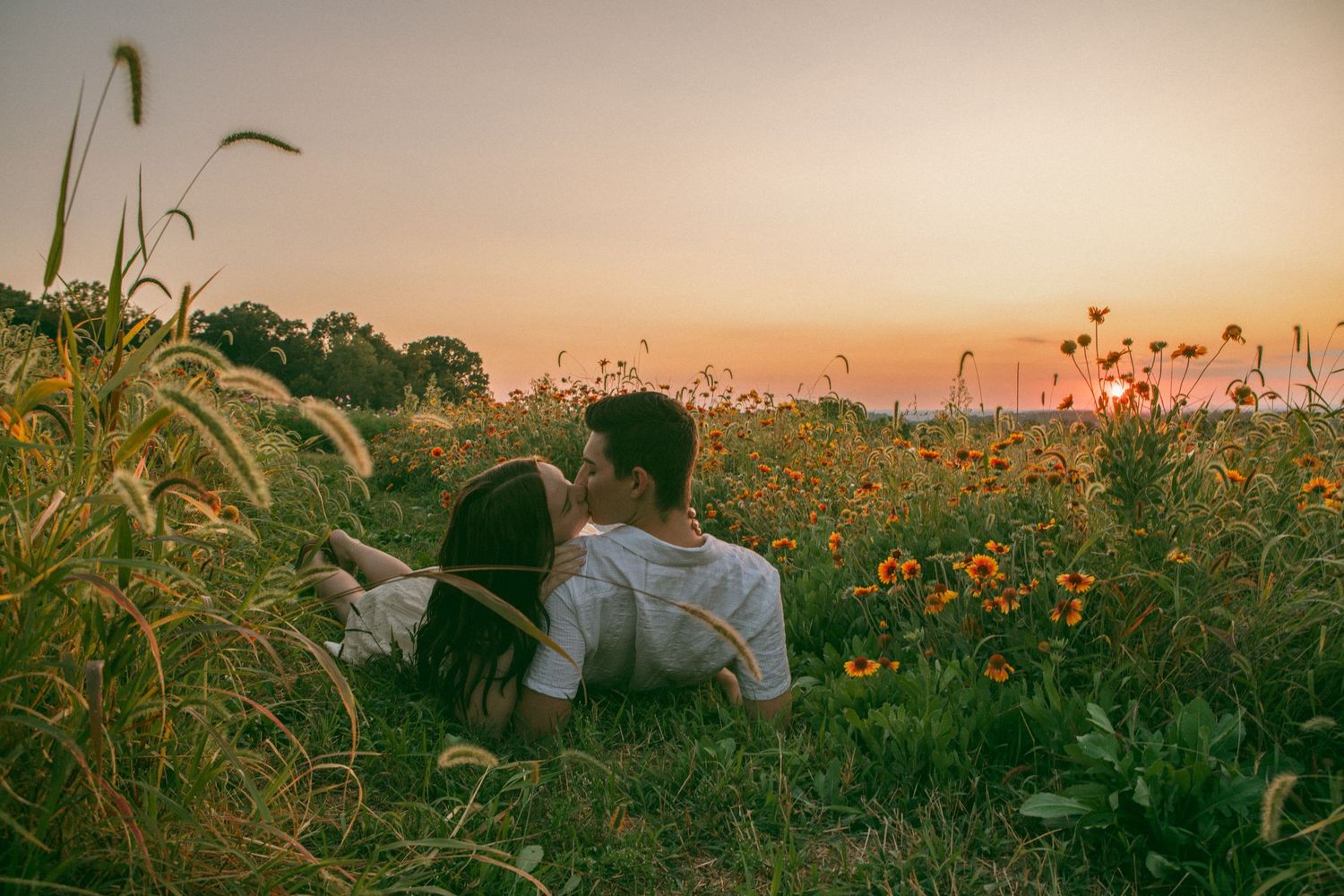 Romantic couple kissing in a wildflower field at sunset, surrounded by golden blooms and lush greenery, capturing love and nature’s beauty.