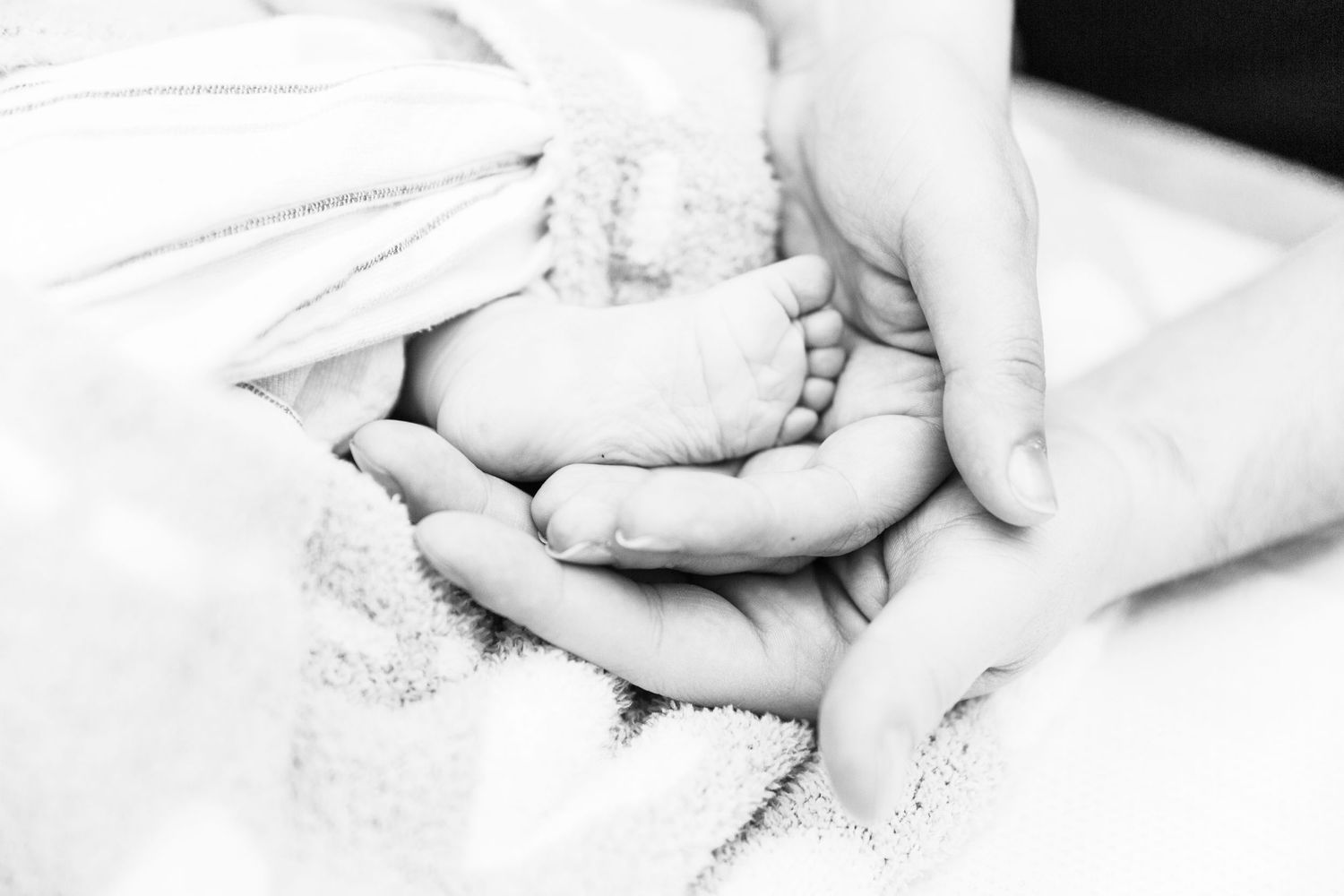 A tender black and white close-up of tiny baby feet being gently cradled in adult hands against white fabric.