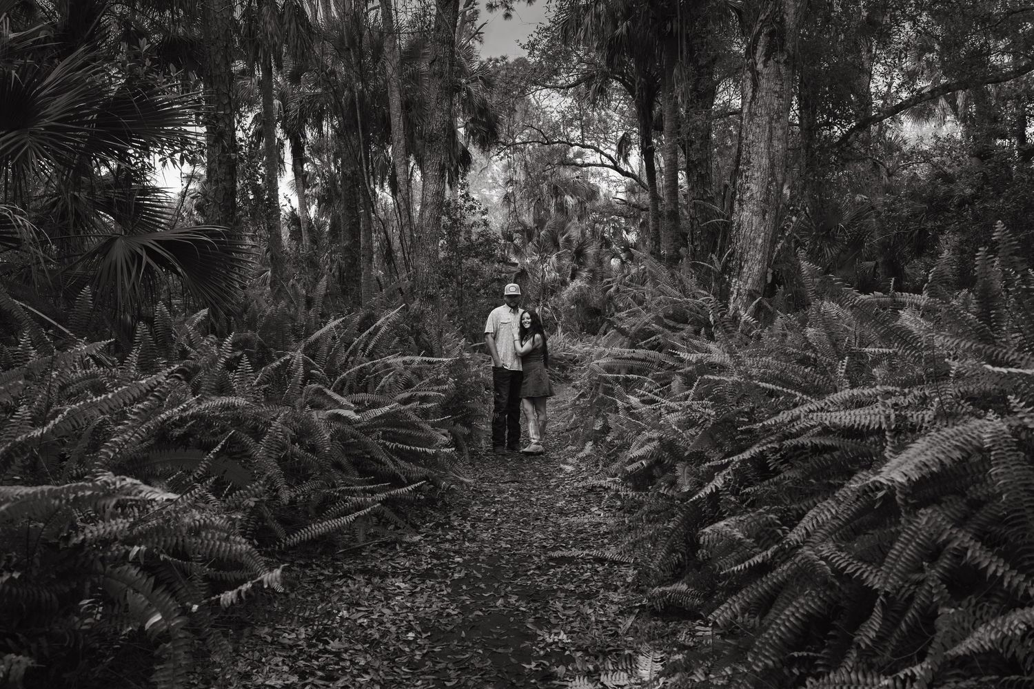 A person walks along a shaded forest path surrounded by dense ferns and moss-covered trees in black and white.