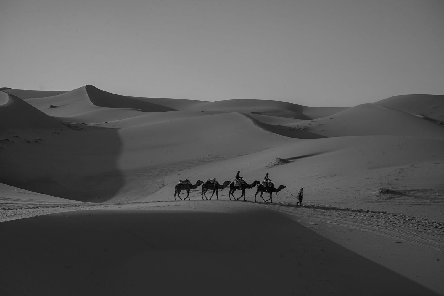 Riding camels through the Sahara desert elopement in Morocco