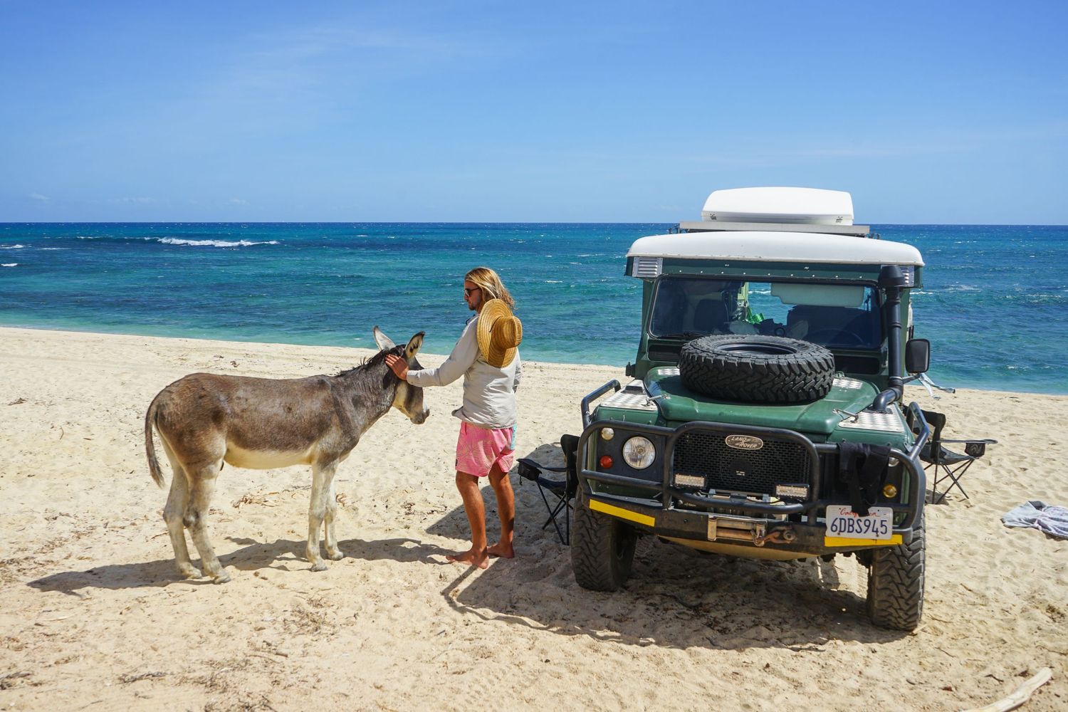 A man pets a donkey on the beach in Baja, California, Mexico next to his retro Land Cruiser. He is in Mexico for his elopement.