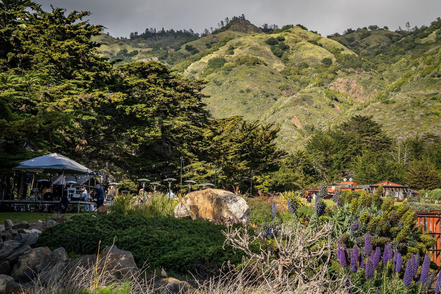 A wedding is set up at Ragged Point beneath the Monterey Cypress Trees.