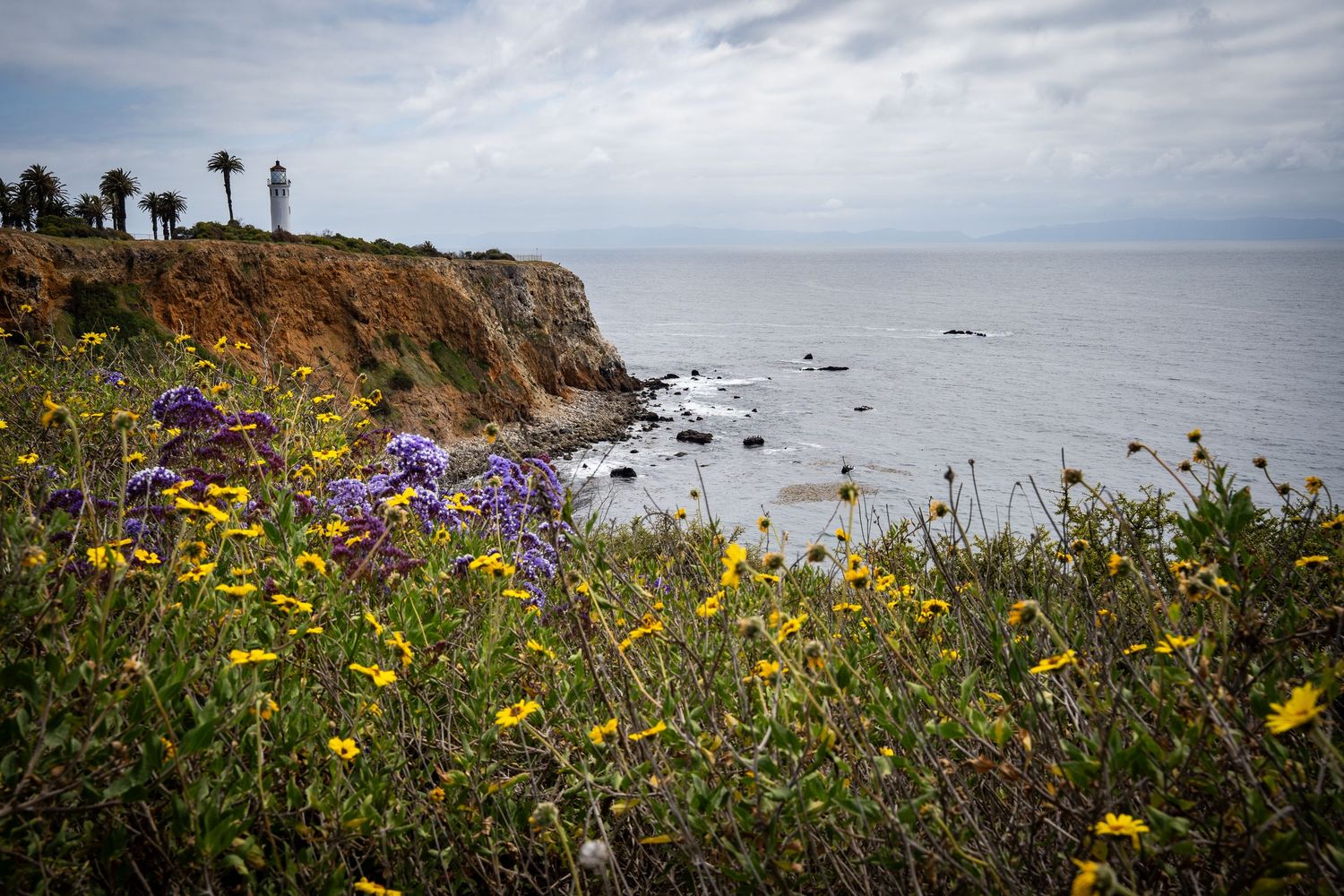 Beautiful wild flowers grow in the foreground, while the San Vicente lighthouse is on a cliff over the ocean in the background.