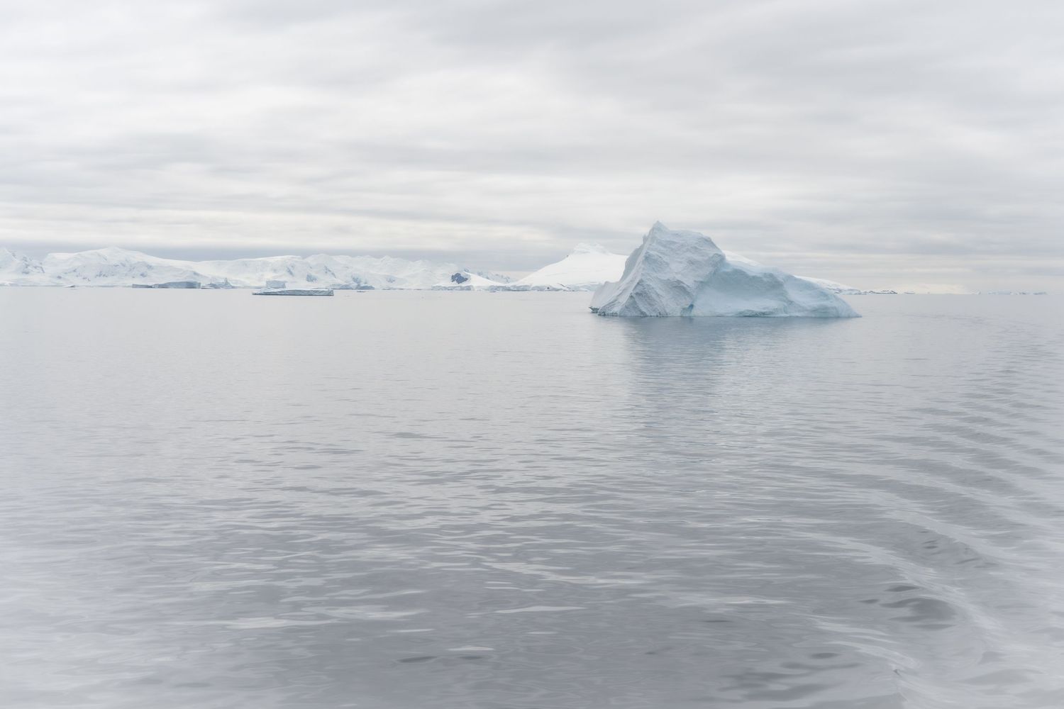 Icebergs float by in Antarctica. The colors are ethereal.