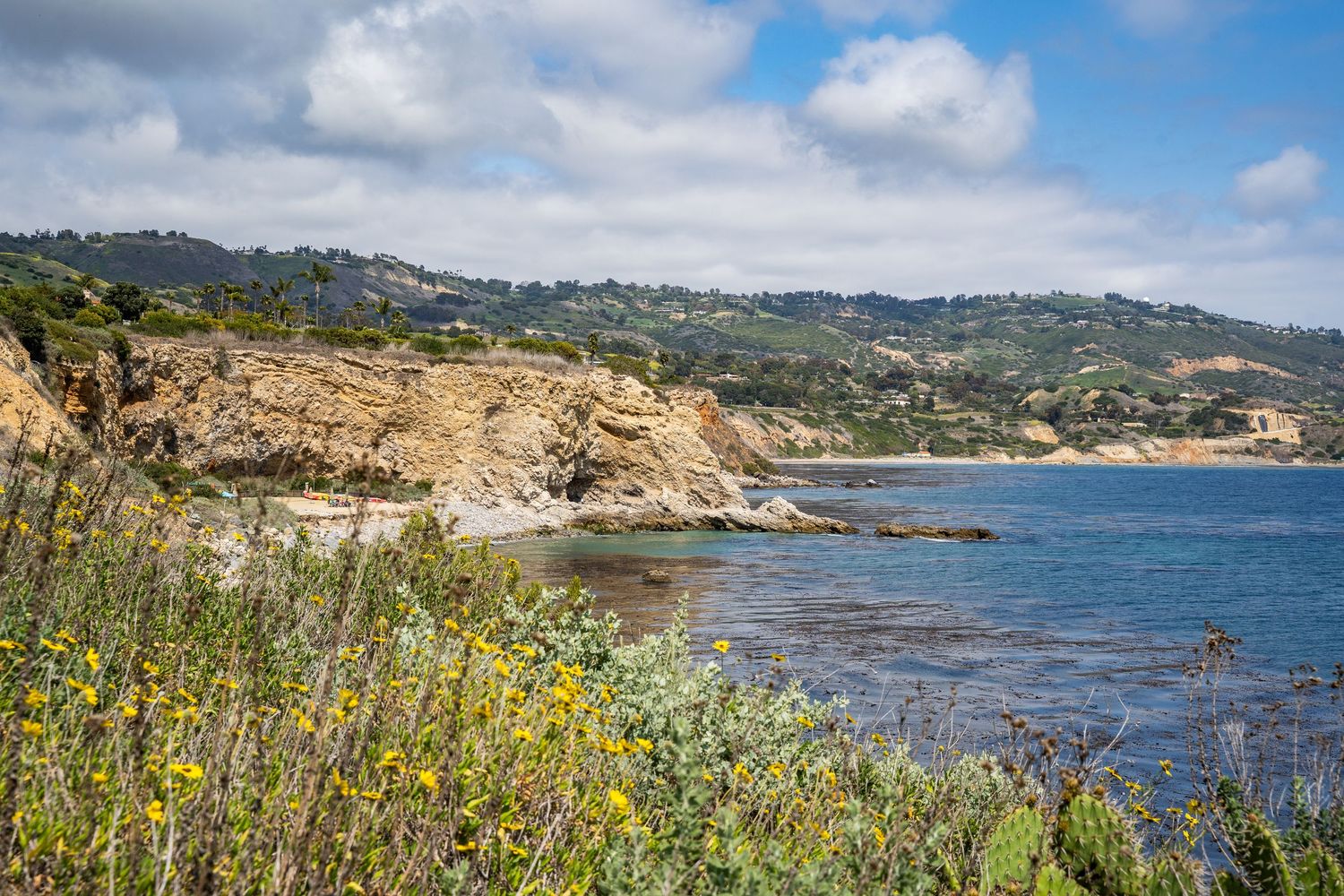 Flowers grow along the coast of Palos Verdes. There is seaweed in the water. Clouds are in the sky.