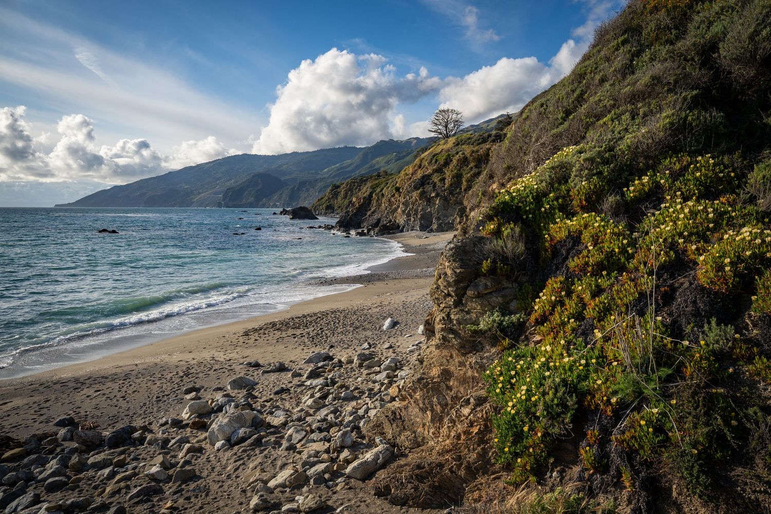 A lovely secluded sandy beach beneath the cliffs in Big Sur, CA.