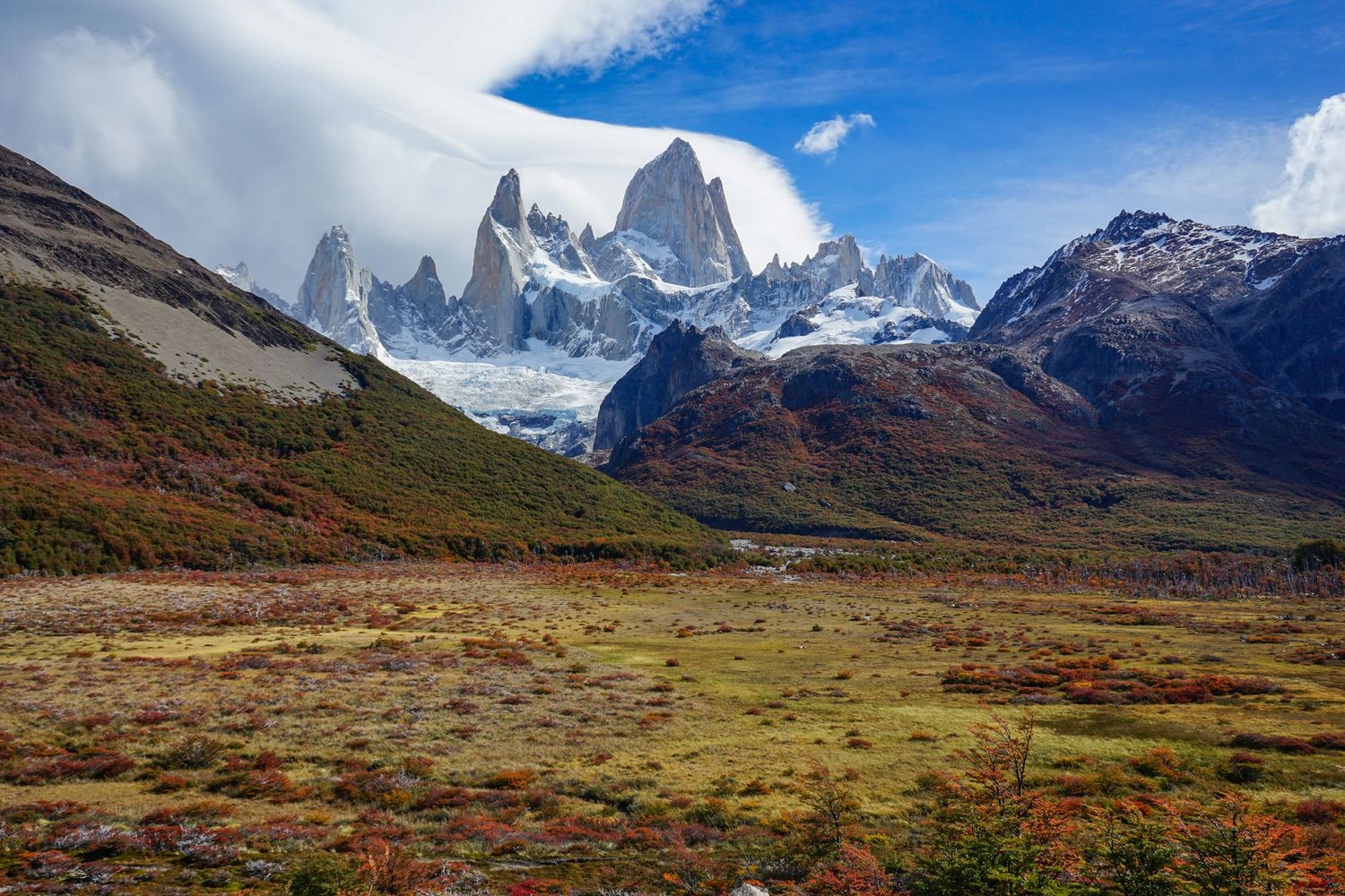 Beautiful mountains jut up behind the town of El Chalten in Patagonia, Argentina. There is a beautiful meadow.