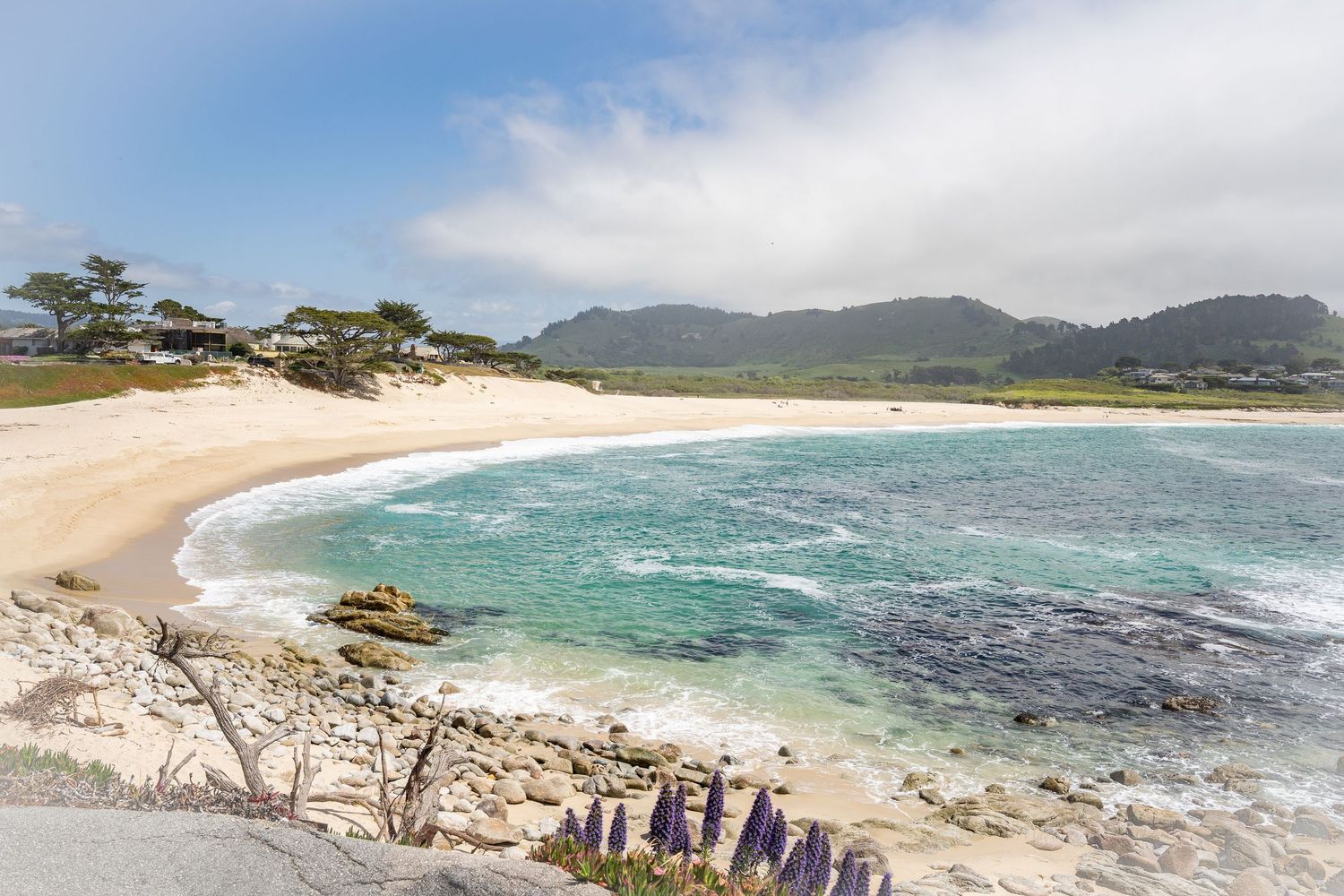 This is a gorgeous white sand beach with turquoise water and Cypress trees in Monterey, California.