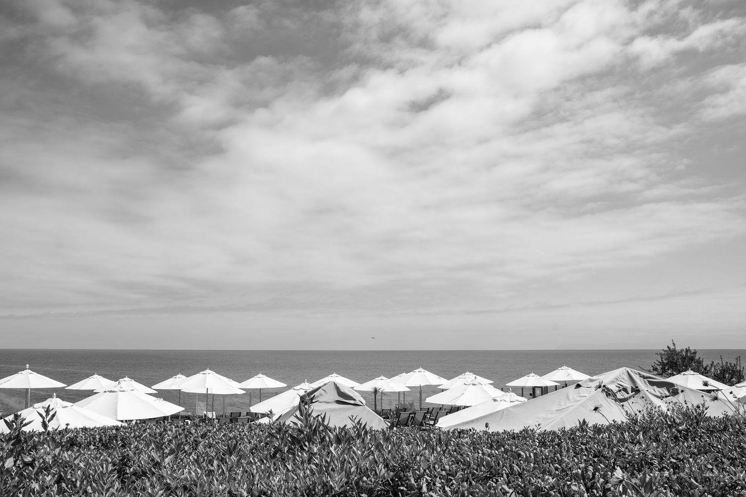 A black and white photograph of umbrellas against the ocean and sky in Palos Verdes.
