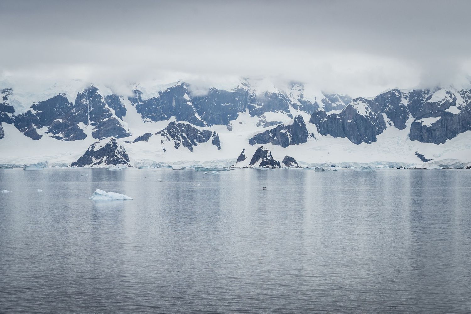 Beautiful snowy mountains in Antarctica make the best backdrop for an elopement.