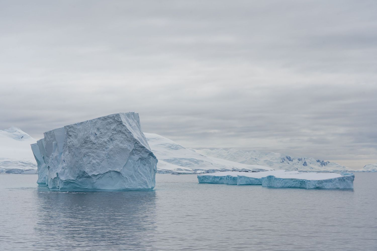 Beautiful icebergs in Antarctica.