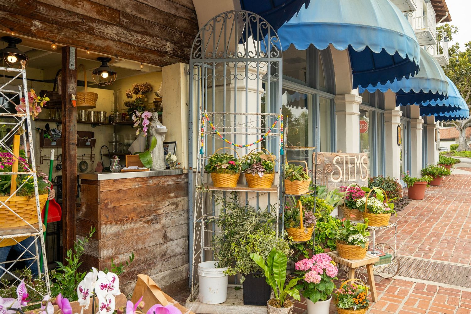 This is a flower shop in Palos Verdes. Blue awnings shade the sidewalk and pots of flowers are spilling out of the store.