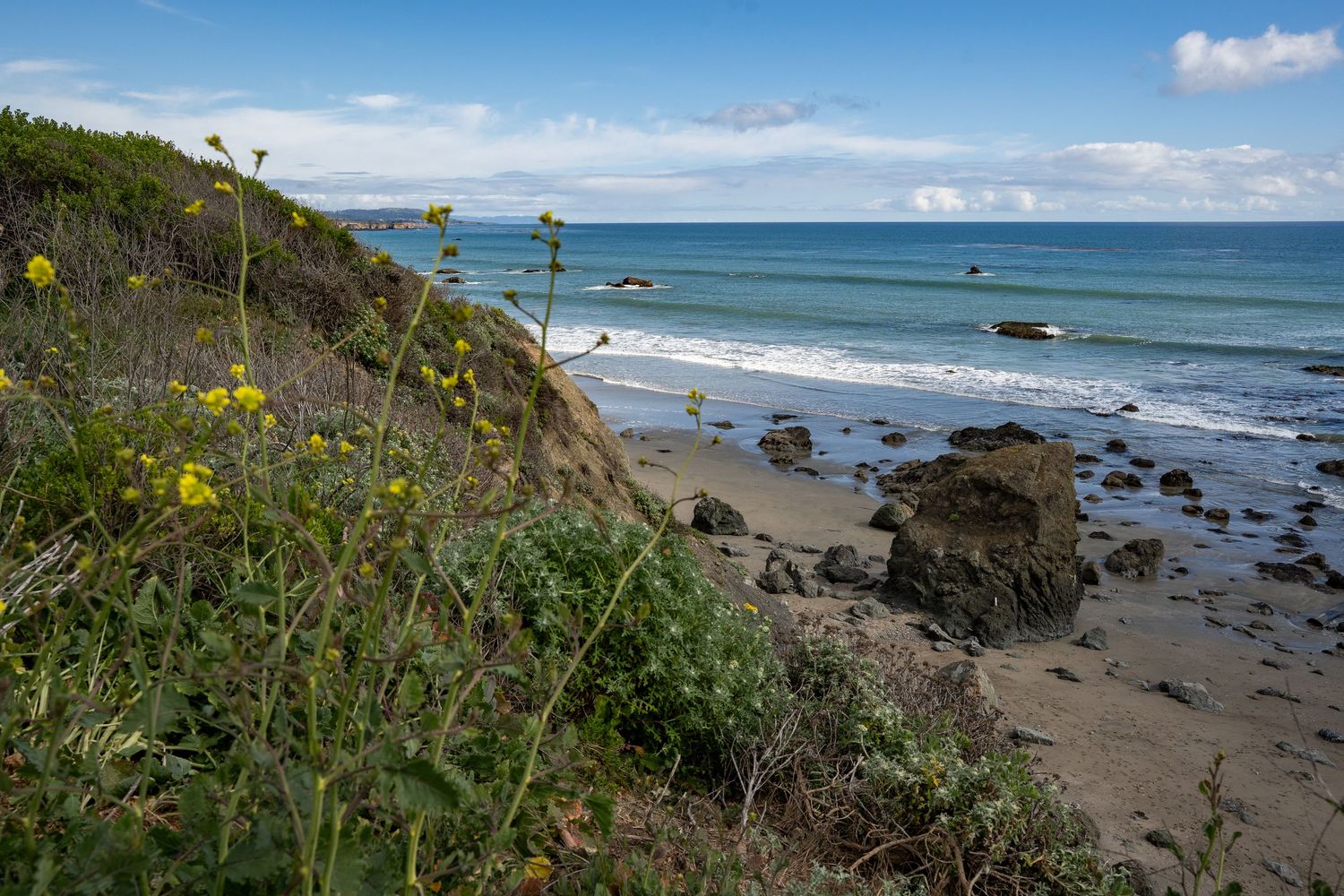 Wildflowers wave in the breeze over a deserted sandy beach in Big Sur, CA.