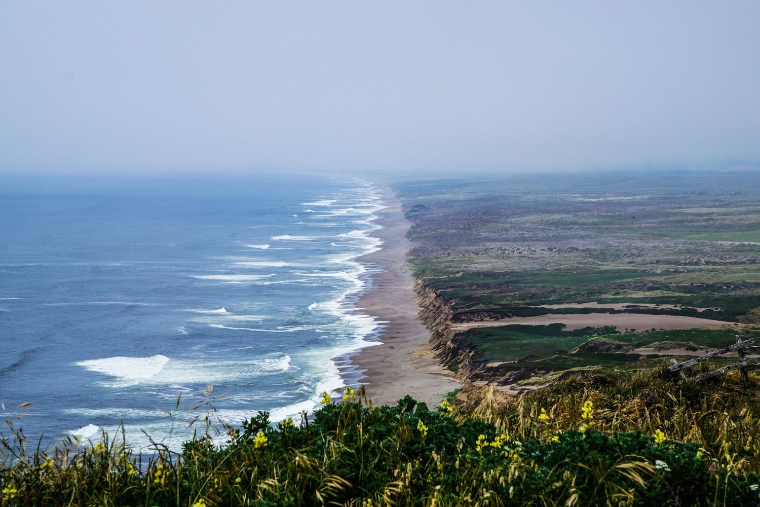 The waves stretch into the fog on a wild Northern California beach in Point Reyes. The beach is very long and straight.
