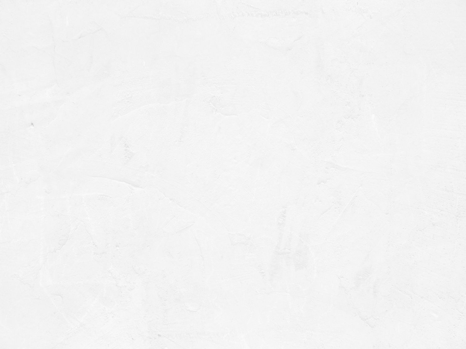 A plain white textured background with a subtle grainy pattern.
