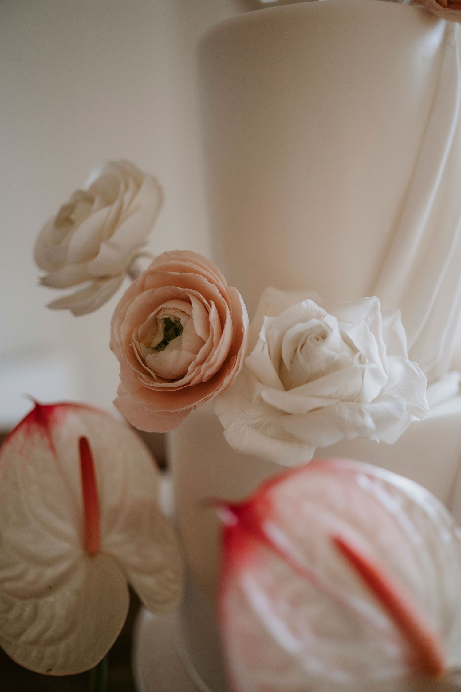 Delicate pink and white ranunculus flowers arranged against a soft cream-colored background.