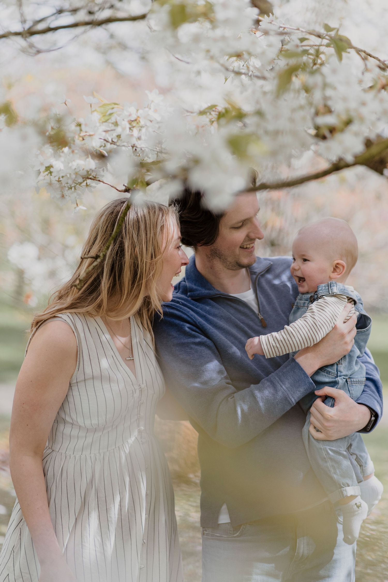 A family shares tender moments under blooming spring cherry blossoms in a romantic outdoor photoshoot series.
